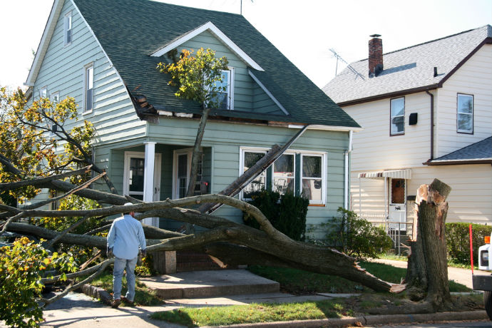 Healing the Landscape: Strategies for Rapid Damage Restoration Post-Disaster