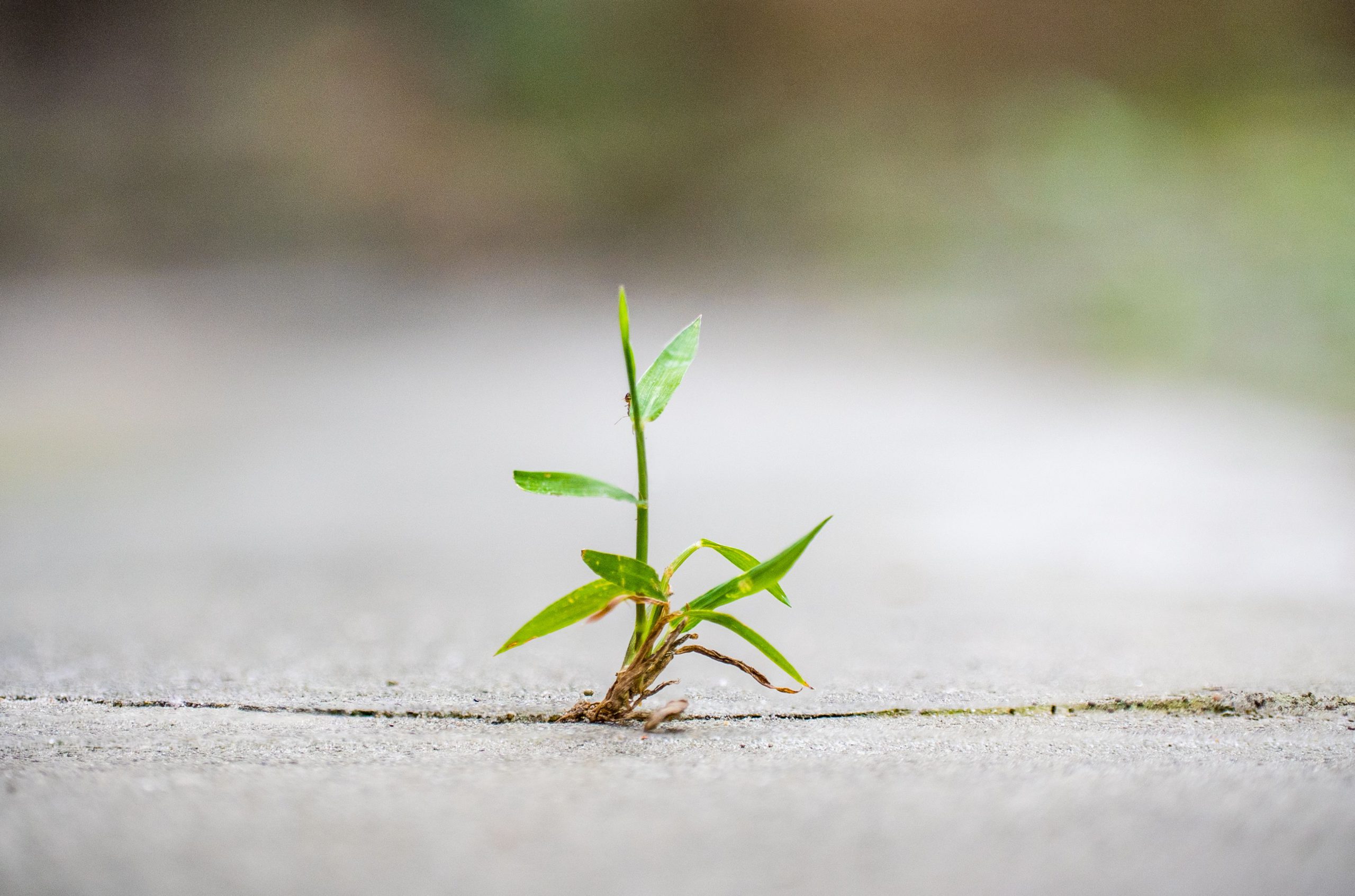 Why Growth Happens When Comfort Feels Challenged?